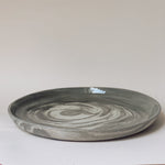 Load image into Gallery viewer, collecting shells plate
