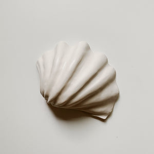 Shell for jewelry