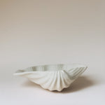 Load image into Gallery viewer, Muschelschale für Schmuck
