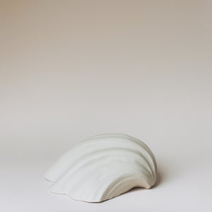 Muschelschale für Schmuck